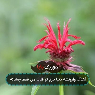 آهنگ وارونشه دنیا بازم تو قلب من فقط چشاته آهنگ وارونشه دنیا بازم تو قلب من فقط چشاته