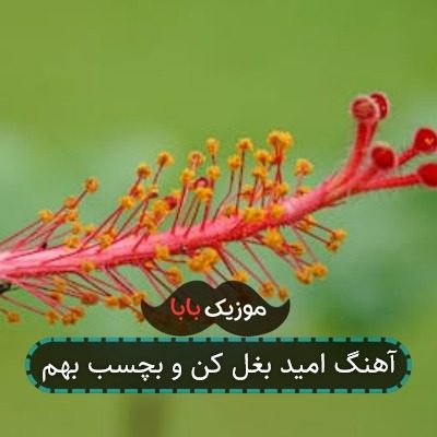 آهنگ امید بغل کن و بچسب بهم