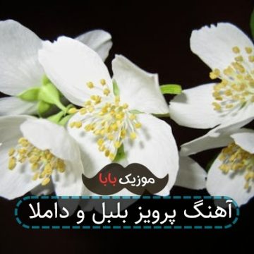 آهنگ پرویز بلبل و داملا