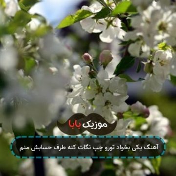 آهنگ یکی بخواد تورو چپ نگات کنه طرف حسابش منم آهنگ یکی بخواد تورو چپ نگات کنه طرف حسابش منم