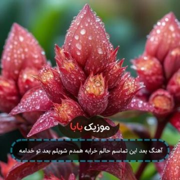 آهنگ بعد این تماسم حالم خرابه همدم شویلم بعد تو خدامه