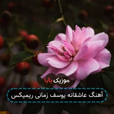 آهنگ عاشقانه یوسف زمانی ریمیکس آهنگ عاشقانه یوسف زمانی ریمیکس