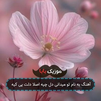 آهنگ به نام تو میدانی دل چیه اصلا دلت پی کیه