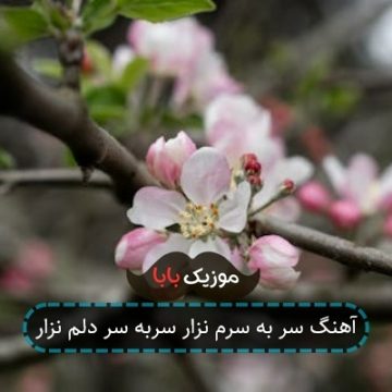 آهنگ سر به سرم نزار سربه سر دلم نزار