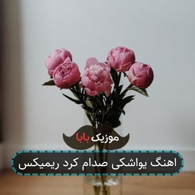 اهنگ یواشکی صدام کرد ریمیکس اهنگ یواشکی صدام کرد ریمیکس