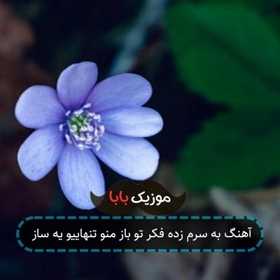 آهنگ به سرم زده فکر تو باز منو تنهاییو یه ساز