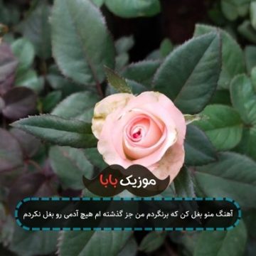 آهنگ ﻣﻨﻮ زﻳﺒﺎ ﺗﻤﻮم ﻛﻦ ﻧﺬار ﺑﻰ ﺗﻮ ﺣﺮوم ﺷﻢ