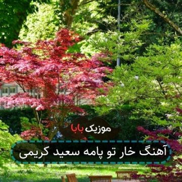 آهنگ خار تو پامه سعید کریمی