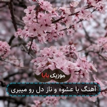 آهنگ با عشوه و ناز دل رو میبری آهنگ با عشوه و ناز دل رو میبری