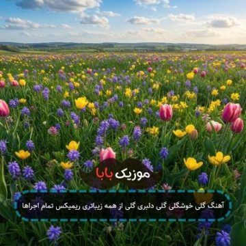 آهنگ گلی خوشگلی گلی دلبری گلی از همه زیباتری ریمیکس تمام اجراها