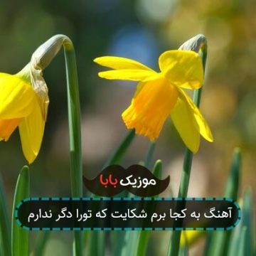 آهنگ به کجا برم شکایت که تورا دگر ندارم آهنگ به کجا برم شکایت که تورا دگر ندارم
