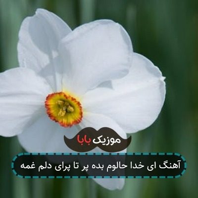 آهنگ ای خدا حالوم بده پر تا پرای دلم غمه آهنگ ای خدا حالوم بده پر تا پرای دلم غمه