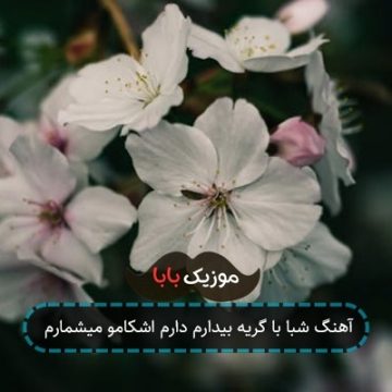آهنگ شبا با گریه بیدارم دارم اشکامو میشمارم