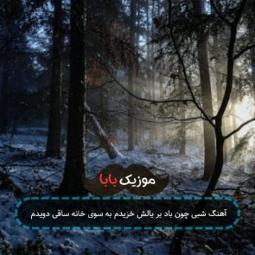 آهنگ شبی چون باد بر یالش خزیدم