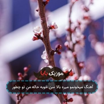 آهنگ میخونمو میره بالا سن خوبه حاله من تو چطور