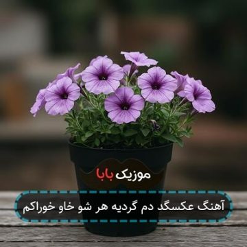 آهنگ عکسگد دم گردیه هر شو خاو خوراکم آهنگ عکسگد دم گردیه هر شو خاو خوراکم