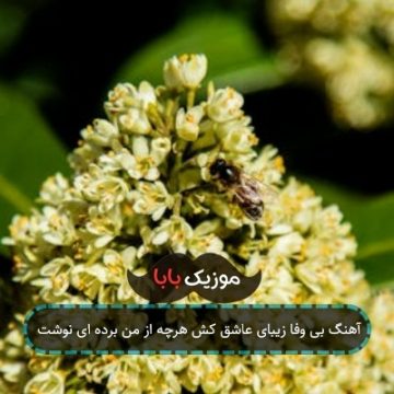 آهنگ بی وفا زیبای عاشق کش هرچه از من برده ای نوشت آهنگ بی وفا زیبای عاشق کش هرچه از من برده ای نوشت