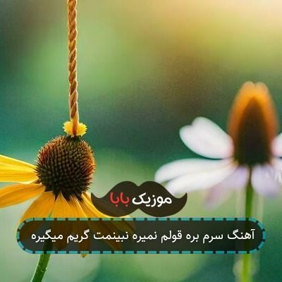 آهنگ سرم بره قولم نمیره نبینمت گریم میگیره