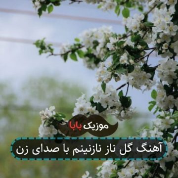 آهنگ گل ناز نازنینم با صدای زن آهنگ گل ناز نازنینم با صدای زن