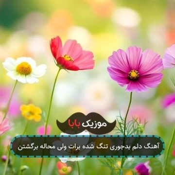 آهنگ دلم بدجوری تنگ شده برات ولی محاله برگشتن آهنگ دلم بدجوری تنگ شده برات ولی محاله برگشتن
