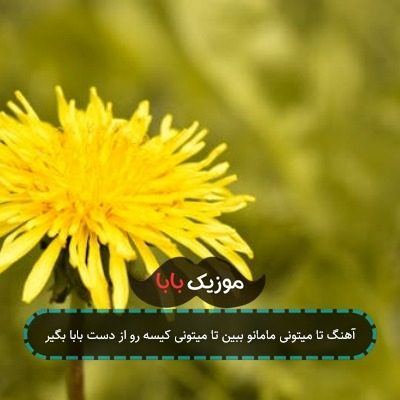 آهنگ تا میتونی مامانو ببین تا میتونی کیسه رو از دست بابا بگیر