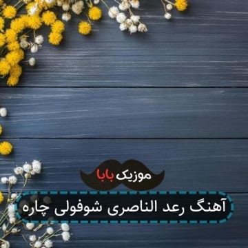 آهنگ رعد الناصری شوفولی چاره