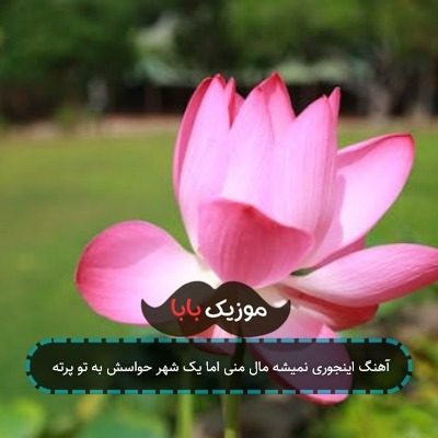 آهنگ اینجوری نمیشه مال منی اما یک شهر حواسش به تو پرته آهنگ اینجوری نمیشه مال منی اما یک شهر حواسش به تو پرته