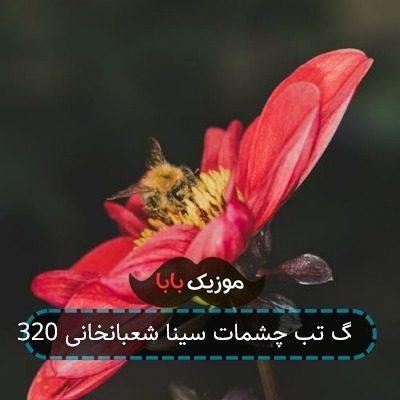 آهنگ تب چشمات سینا شعبانخانی 320 آهنگ تب چشمات سینا شعبانخانی 320