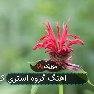 اهنگ گروه استری کیدز case 143