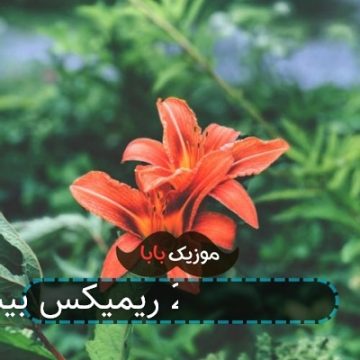 آهنگ پارس سفید 2 ریمیکس بیس دار
