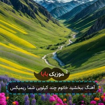 آهنگ ببخشید خانوم چند کیلویی شما ریمیکس