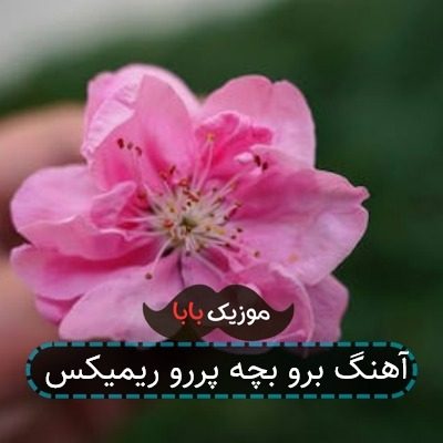 آهنگ برو بچه پررو ریمیکس آهنگ برو بچه پررو ریمیکس