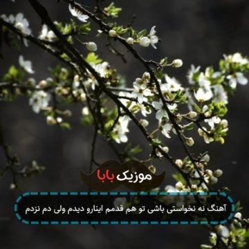 آهنگ نه نخواستی باشی تو هم قدمم اینارو دیدم ولی دم نزدم