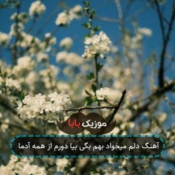 آهنگ دﻟﻢ ﻣﻴﺨﻮاد ﺑﻬﻢ ﺑﮕﻰ ﺑﻴﺎ دورم از ﻫﻤﻪ آدﻣﺎ