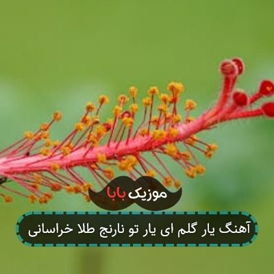 آهنگ یار گلم ای یار تو نارنج طلا خراسانی