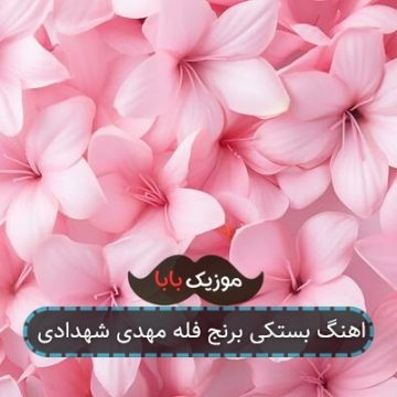 اهنگ بستکی برنج فله مهدی شهدادی اهنگ بستکی برنج فله مهدی شهدادی