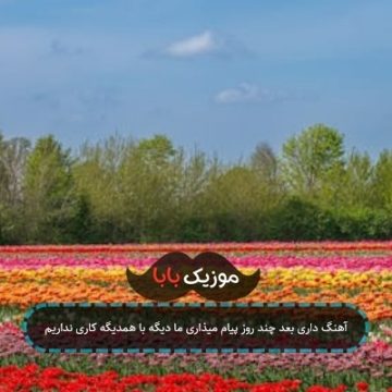 آهنگ داری بعد چند روز پیام میذاری ما دیگه با همدیگه کاری نداریم