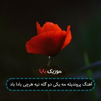 آهنگ پروندیله مه یکی دو گله نیه هرچی بادا باد