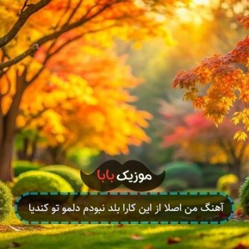 آهنگ من اصلا از این کارا بلد نبودم دلمو تو کندیا