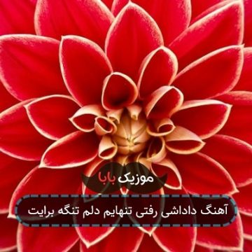 آهنگ داداشی رفتی تنهایم دلم تنگه برایت آهنگ داداشی رفتی تنهایم دلم تنگه برایت