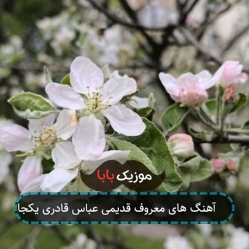 آهنگ های معروف قدیمی عباس قادری یکجا zip