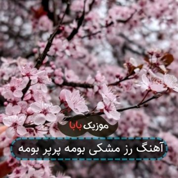 آهنگ رز مشکی بومه پرپر بومه