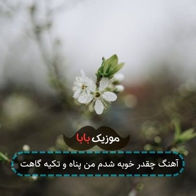 آهنگ چقدر خوبه شدم من پناه و تکیه گاهت
