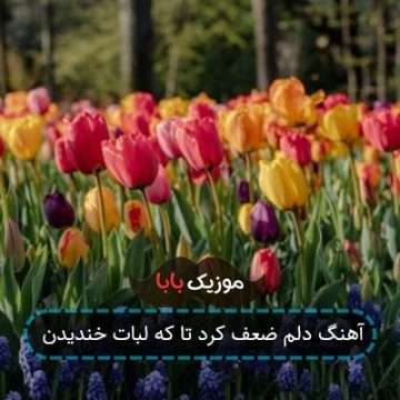 آهنگ دلم ضعف کرد تا که لبات خندیدن