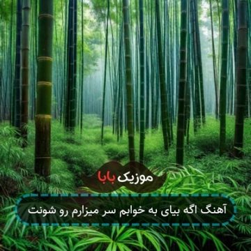 آهنگ اگه بیای به خوابم سر میزارم رو شونت