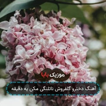 آهنگ دخترو گلفروش ناتلنگی مکن یه دقیقه