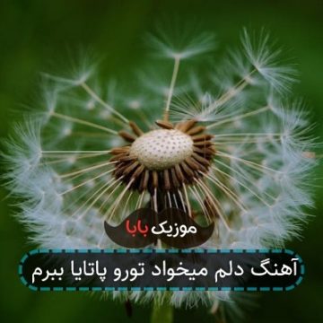 آهنگ دلم میخواد تورو پاتایا ببرم