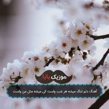 آهنگ دلم تنگ میشه هر شب واست کی میشه مثل من واست آهنگ دلم تنگ میشه هر شب واست کی میشه مثل من واست