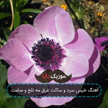 آهنگ خیس سرد و ساکت غرق مه تلخ و صامت