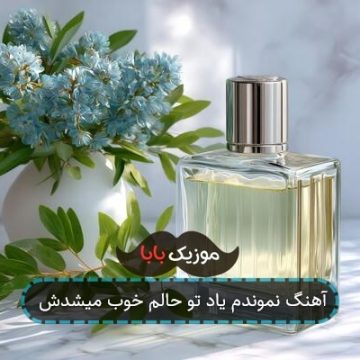 آهنگ نموندم یاد تو حالم خوب میشدش